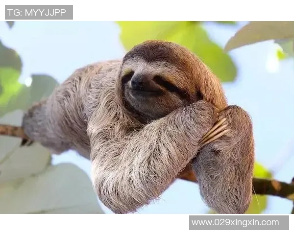 赫伊森：我已知道能否赶上国家德比 惊喜留到最后再揭晓